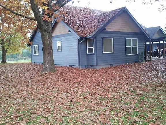 NE corner of house