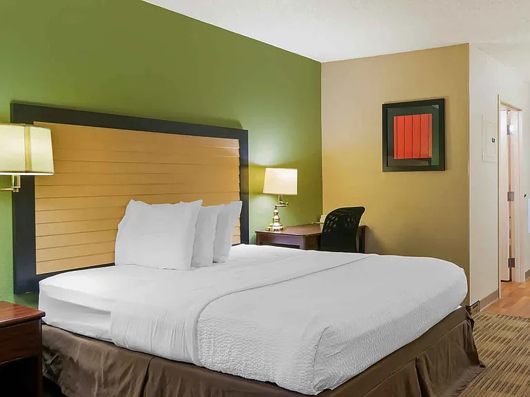 Studio Suite - 1 Queen Bed