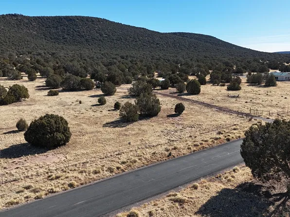 48955 N Anvil Rock Rd, Seligman, AZ 86337