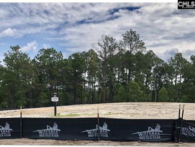 211 Yellow Jasmine Dr, Elgin, SC, 29045