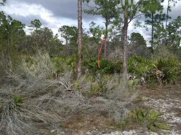 420 Anthonys Way, Sebring, FL 33875