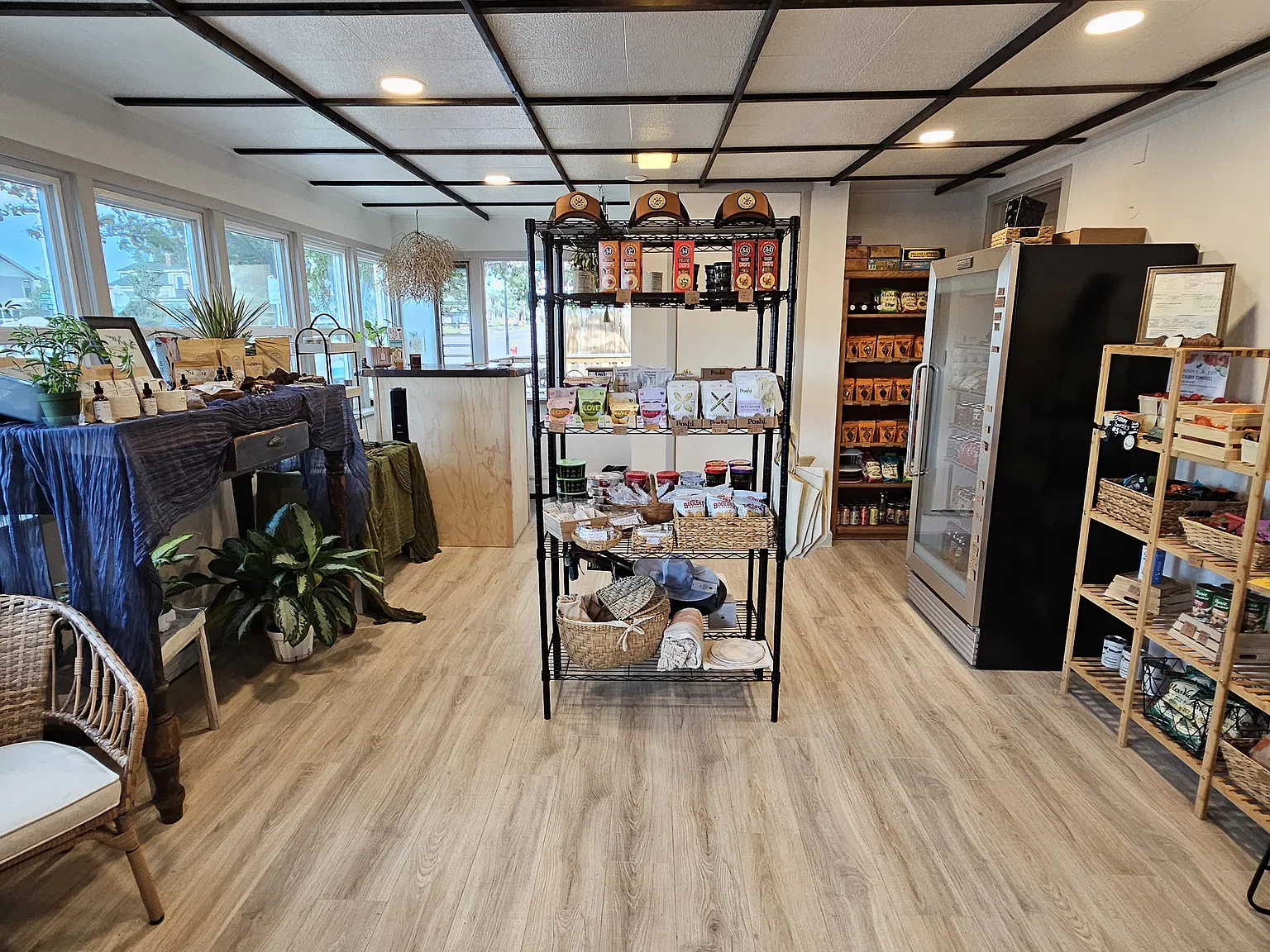 Studio, 294 sqft, $800 — Photo 4