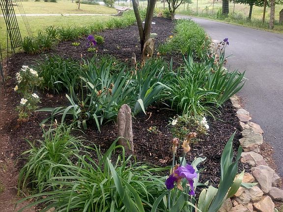 5th image of 227 Horton Cutoff Rd