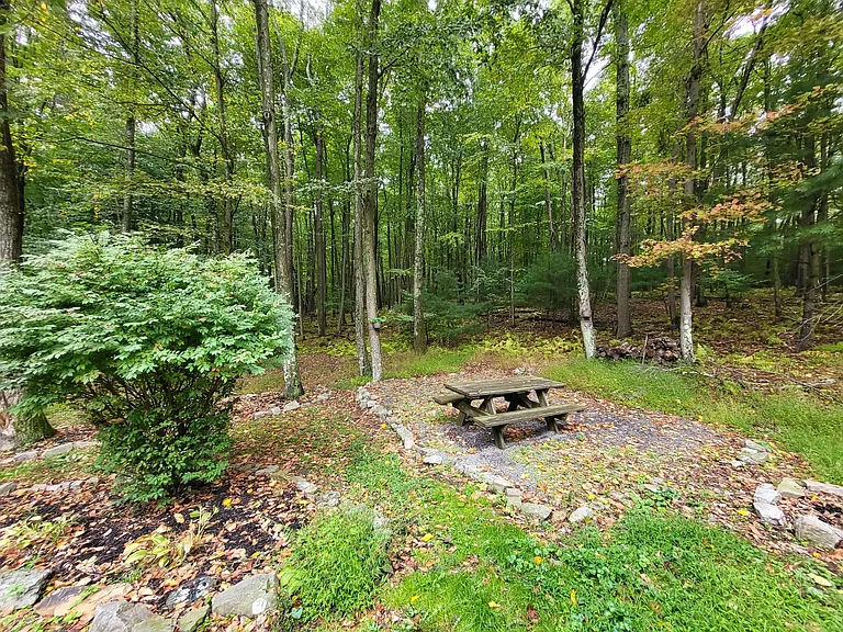 31 Greenhouse Ln #24B — Photo 18