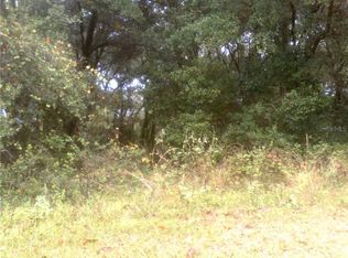 5931 Ellerbee Rd, Wesley Chapel, FL 33545