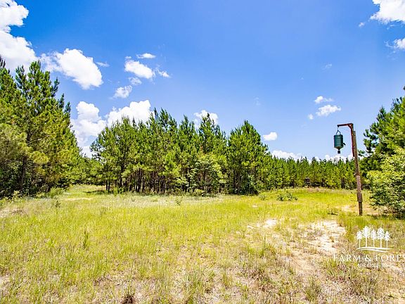 2nd image of Xx1 Sandridge Church Rd