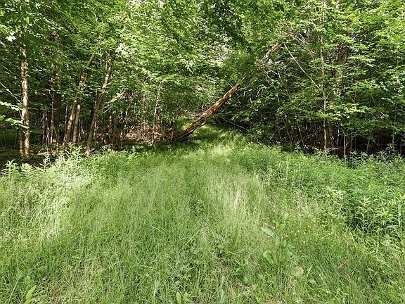 5th image of 2 Elys Rd