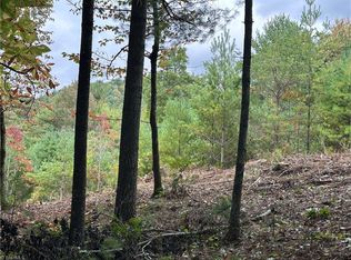 LOT 26 E Cascade Run #26E, Purlear, NC 28665