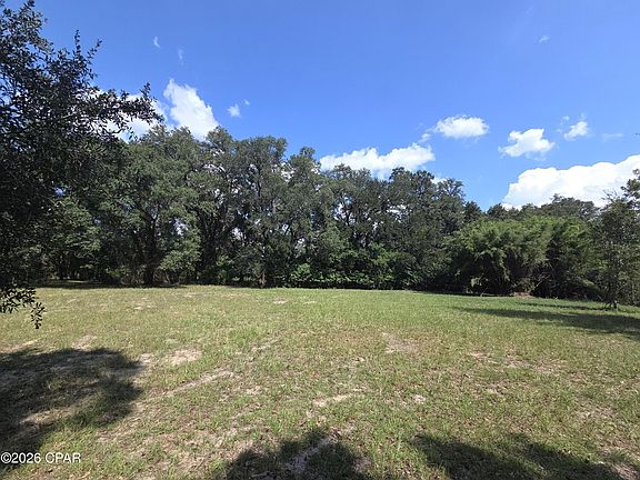 4th image of Live Oak Ln