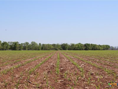 County Road 301, Marlin, TX, 76661