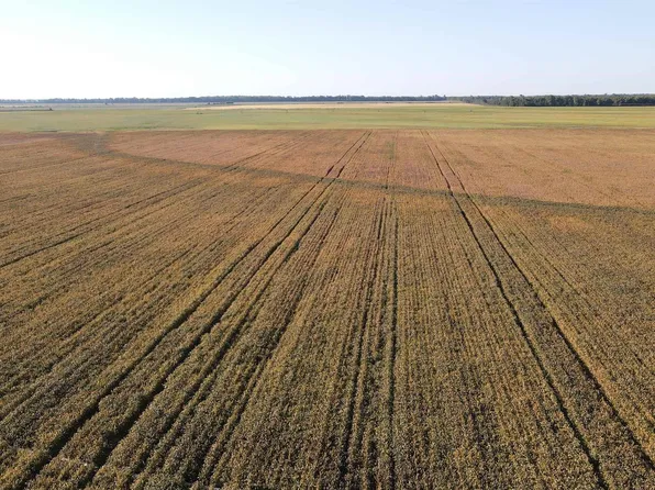 (undisclosed Address), Marvell, AR 72366