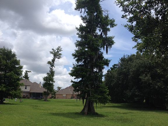 4th image of 9 Asterbrook Ct