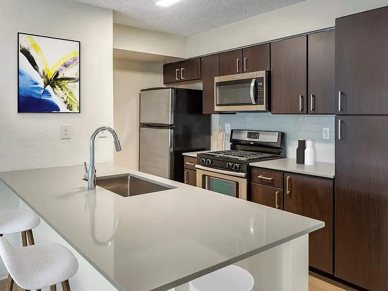 Renovated Package II kitchen with espresso cabinetry, grey quartz countertops, stainless steel appliances, tile backsplash, and hard surface plank flooring