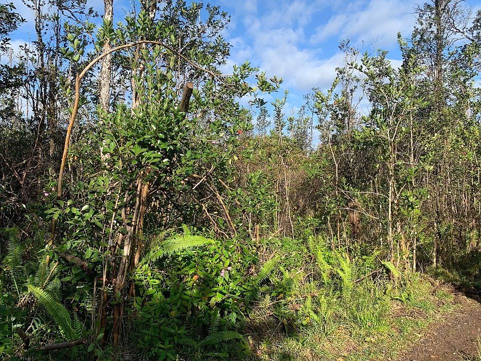 1st image of King Kamehameha Blvd Lot 16