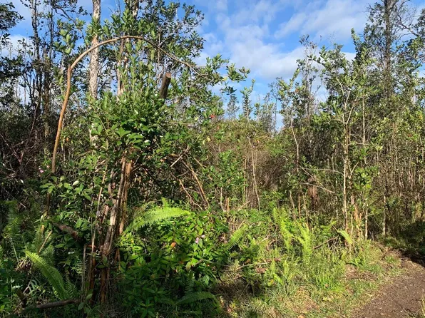 King Kamehameha Blvd Lot 16, Keaau, HI 96749