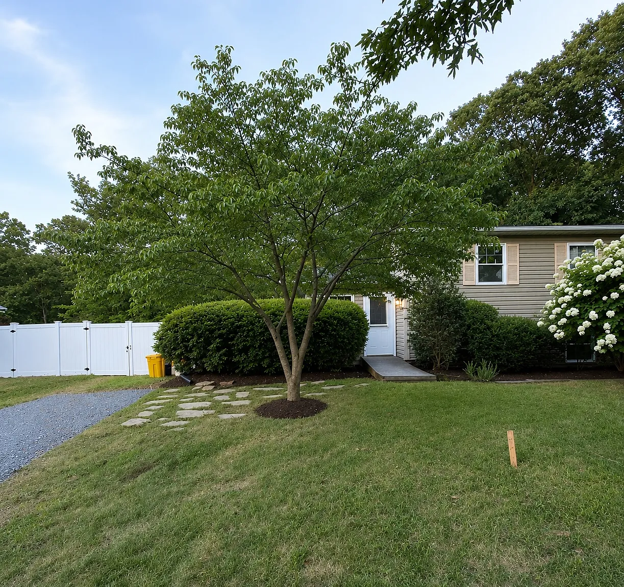 2 bed, 950 sqft, $2,000 — Photo 1