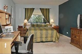 4th image of 525 S Cleveland Ave APT 205