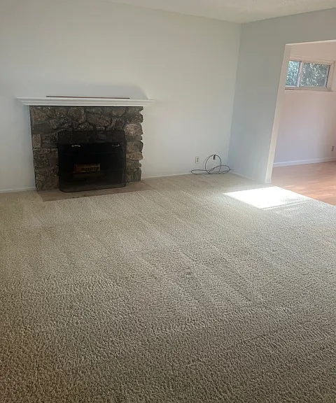 1542 Kooser Rd — Photo 12