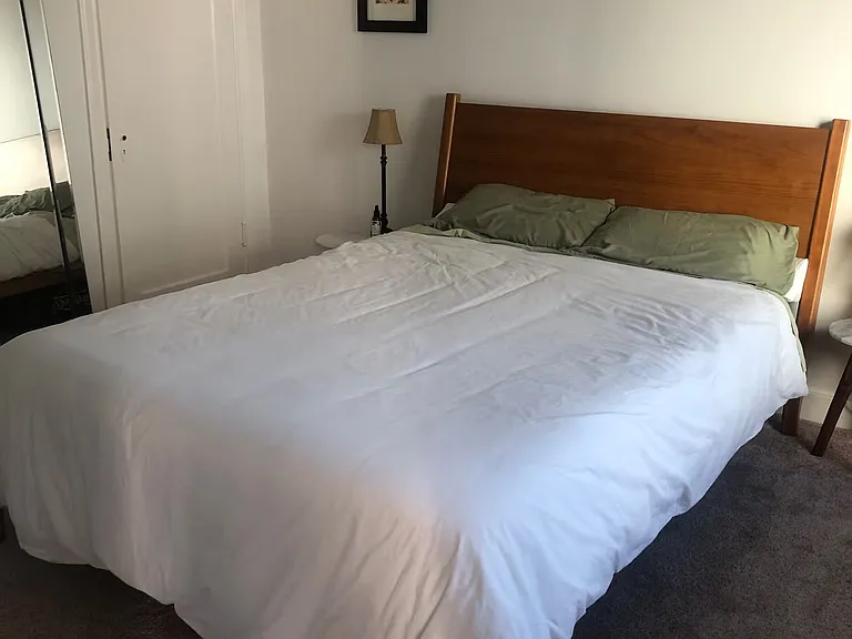 Lower level large bedroom