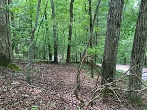 LOT 1667 Fugue Dr, Ellijay, GA 30540