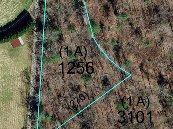 1653 Walshtown Rd, Boomer, NC 28606