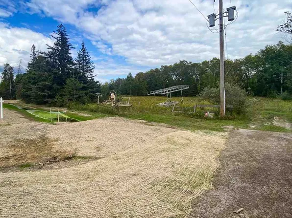 8425 S Us Highway 31 Parcel A, Alanson, MI 49706