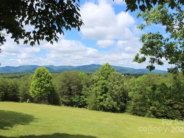 126 Cougar Rd, Casar, NC 28020