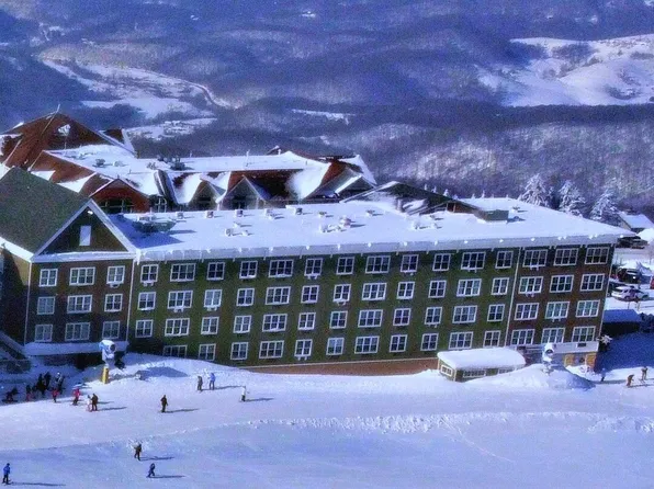 208 Expedition Station Trl, Snowshoe, WV 26209