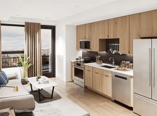 140 Basalt Center Cir #209, Basalt, CO 81621