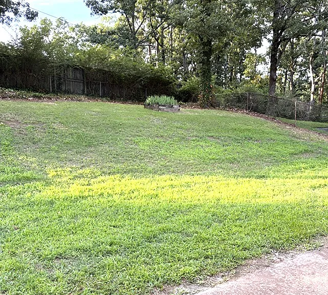 large fenced backyard