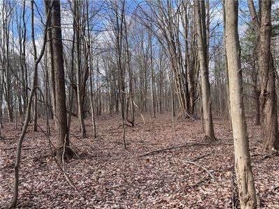 0 Gowans Rd #1, Angola, NY, 14006