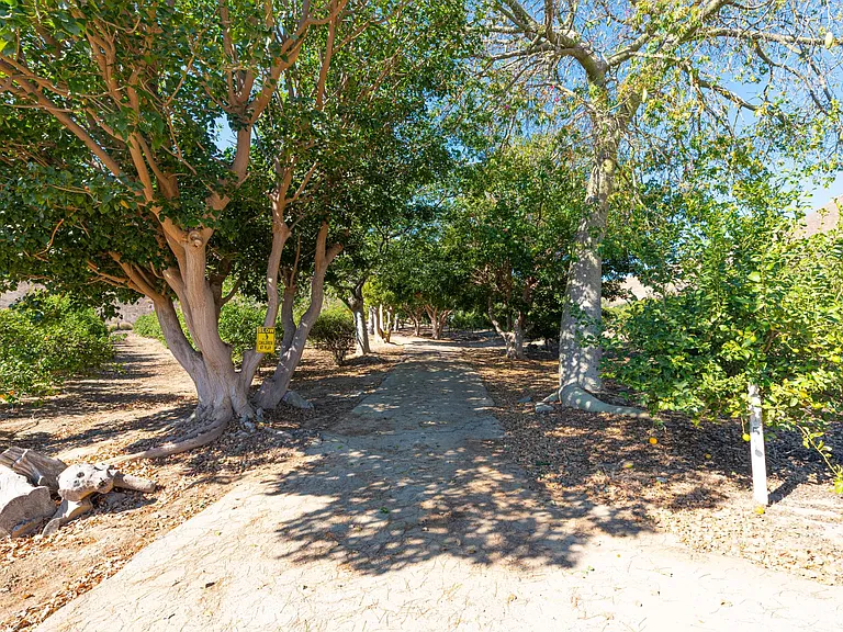 1057 E La Loma Ave — Photo 69