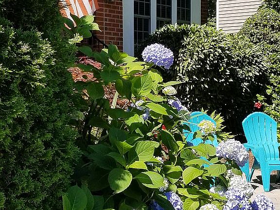 Lush & mature landscaping