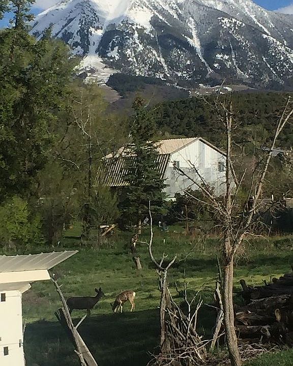 View of neighbors barn
