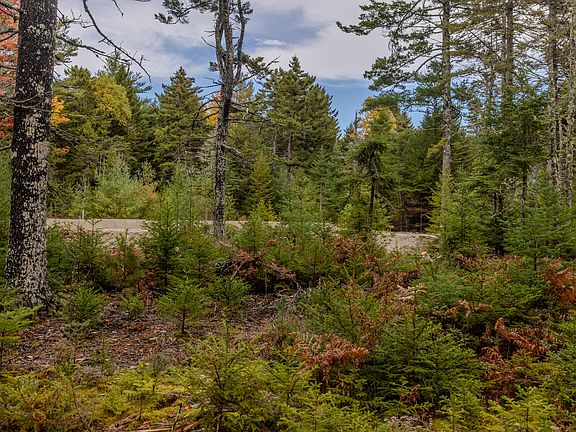 3rd image of 33 Pine Cone  Lane