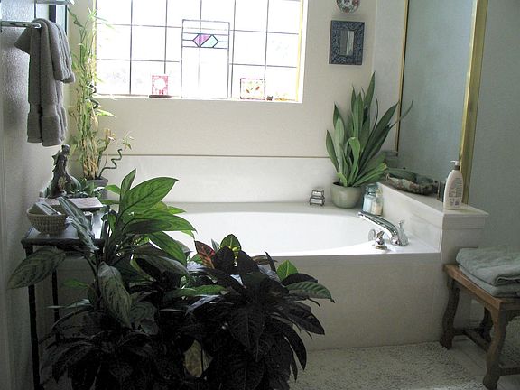 Lovely  master bath with garden tub.