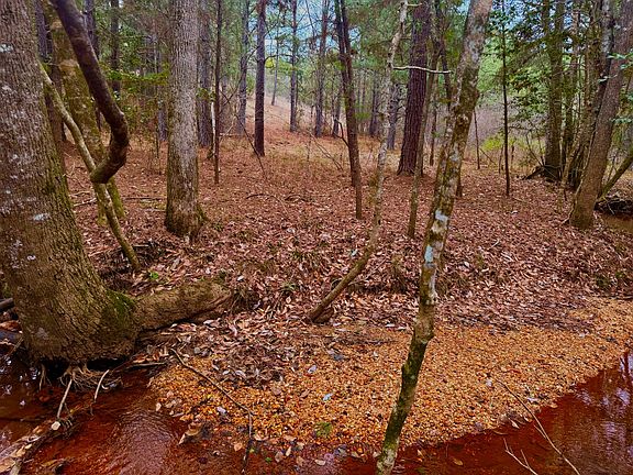 5th image of 2181 Birch Rd