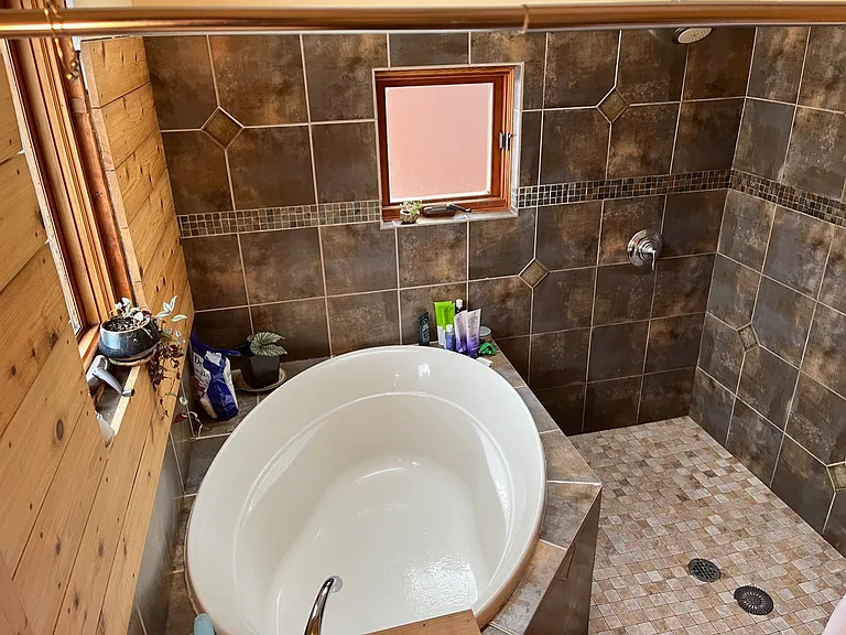 Soaking tub and shower