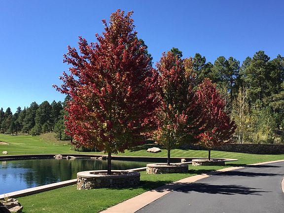 Breathtaking Fall Colors