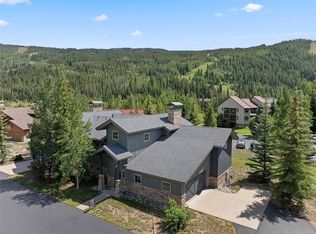 22 Snake River Rd #13, Dillon, CO 80435