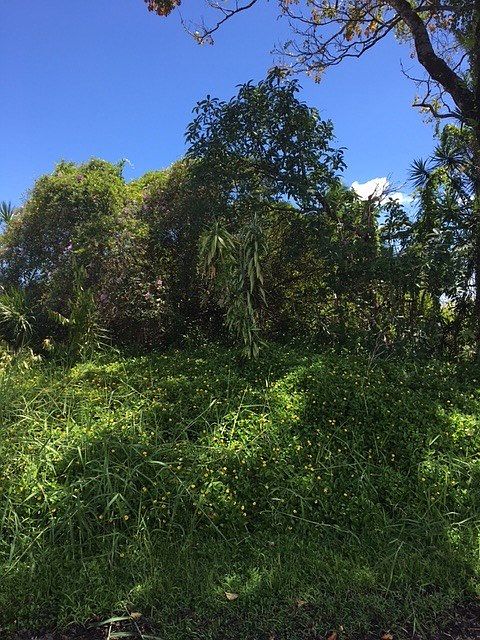 2nd image of LOT 67 Lot 67