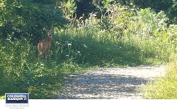 Nature Trail in association