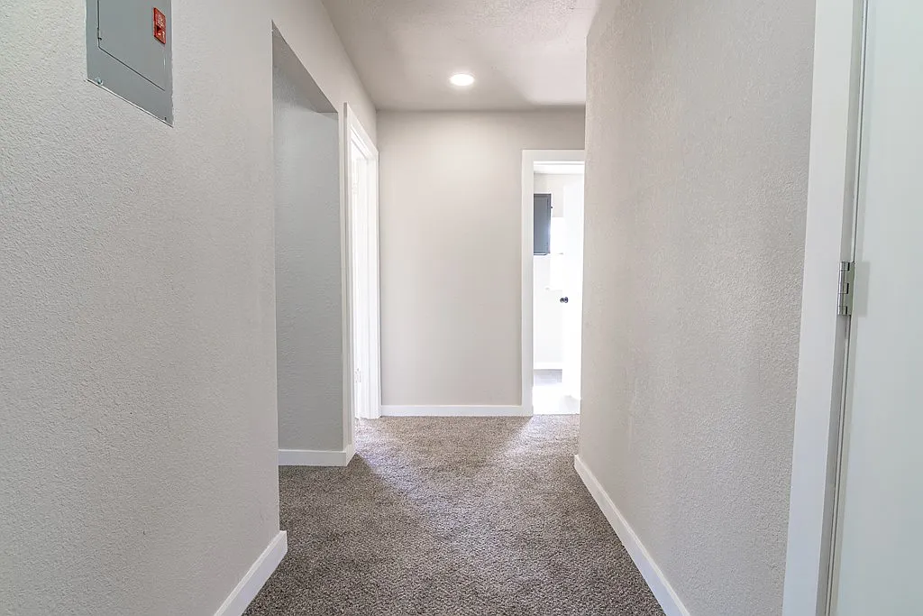 907 East 15th Street - 1 — Photo 4