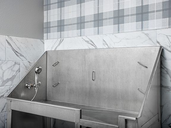 Keep your pup fresh and clean in our convenient dog spa.