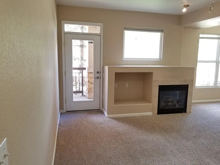 555 Cougar Bluff Point #101 — Photo 9