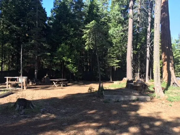 30196 Buckthorn Ln, Nevada City, CA 95959