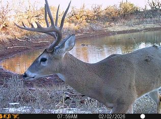 42 County Road 318, Abilene, TX 79606