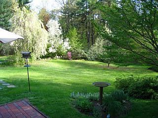 yard from patio