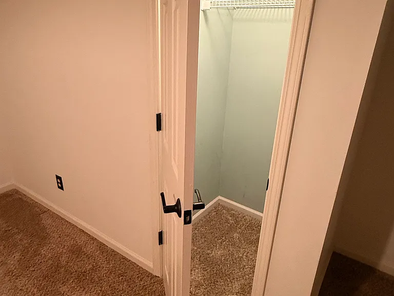 2039 Old Forge Way #BASEMENT — Photo 17