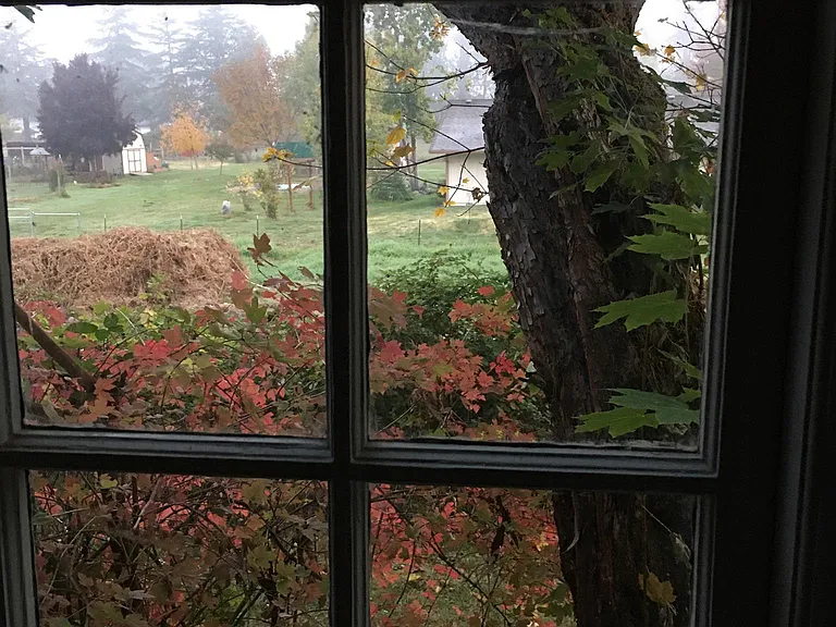 Breezy Ln — Photo 14